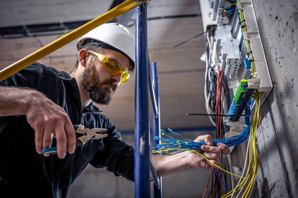 Best Affordable Electrician  in Paynesville, MN