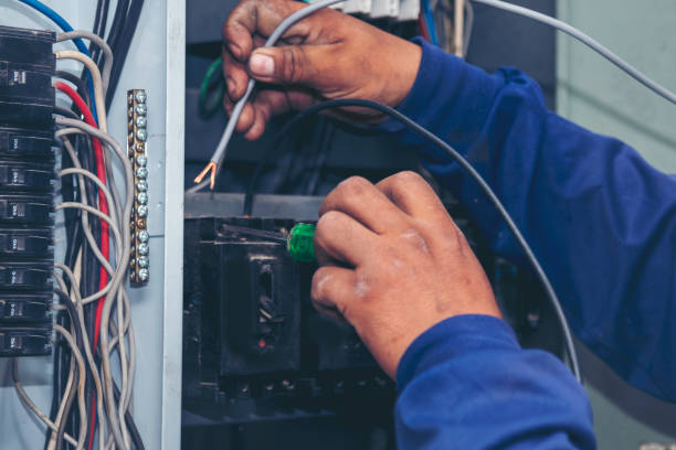Best Electrical Upgrades for Homes  in Paynesville, MN