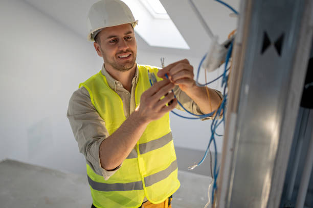 Best Electric Panel Repair  in Paynesville, MN